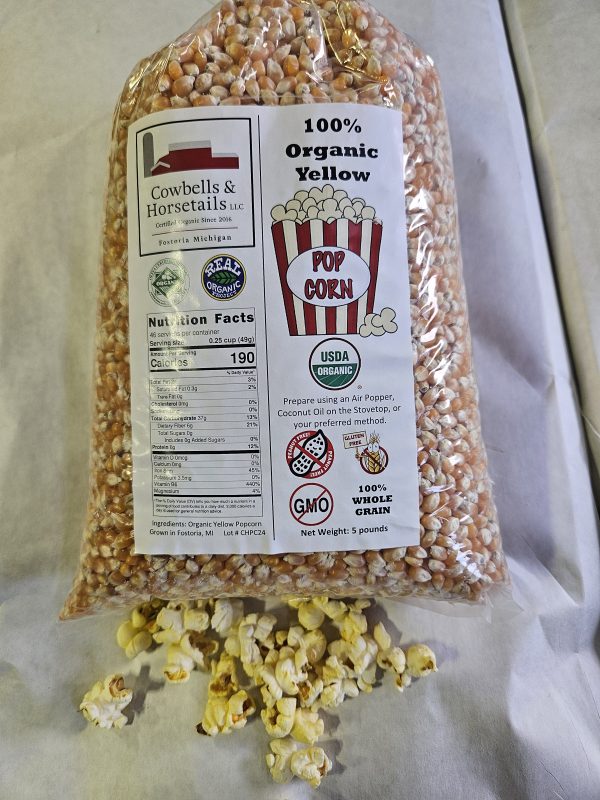 Packaged Organic Popcorn