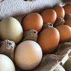 Cage Free Fresh Farm Non-GMO fed Chicken Eggs - Unwashed